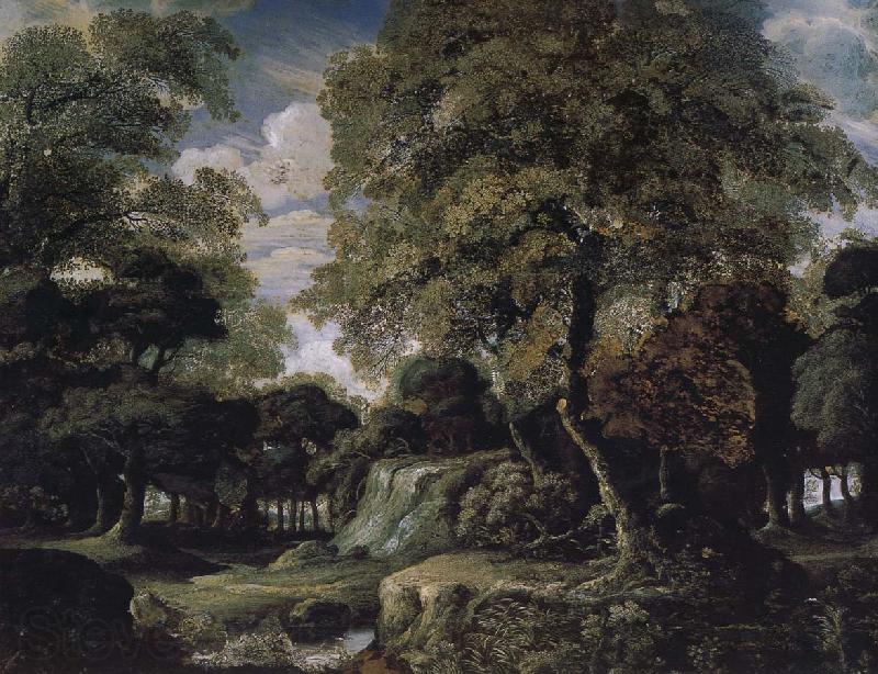 Jan van der Heyden Forest landscape